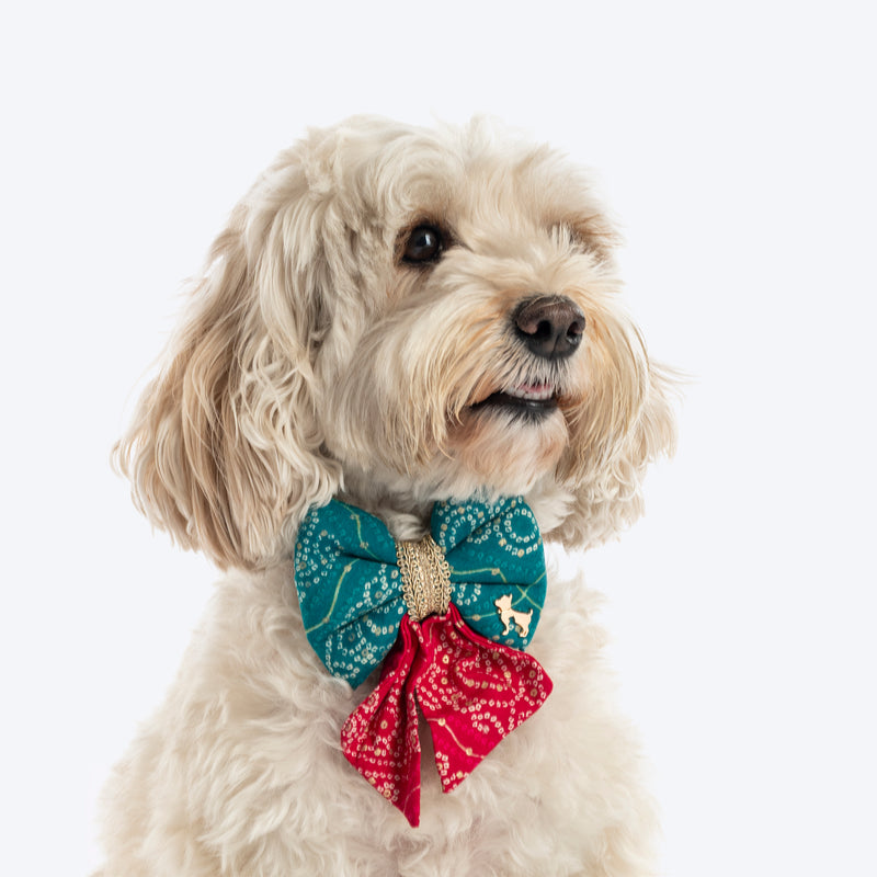 HUFT Rang Biranga Bow Tie For Dog - Green & Pink - Heads Up For Tails