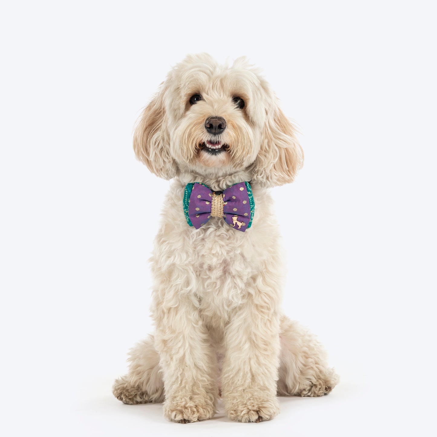 HUFT Desi Glam Bow Tie For Dog - Purple & Green