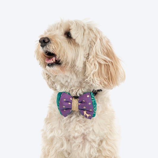 HUFT Desi Glam Bow Tie For Dog - Purple & Green
