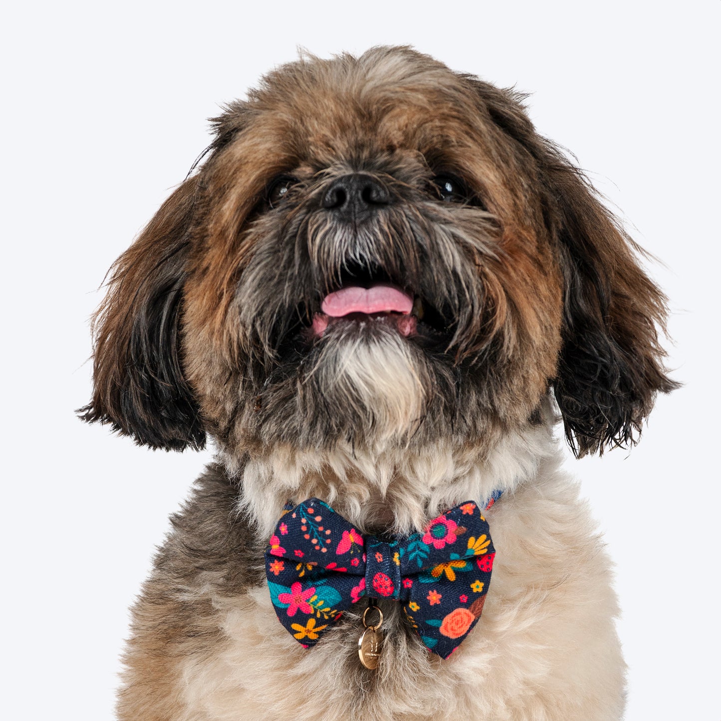 HUFT Bloomscape Printed Bow Tie For Small Dog - Navy - Heads Up For Tails