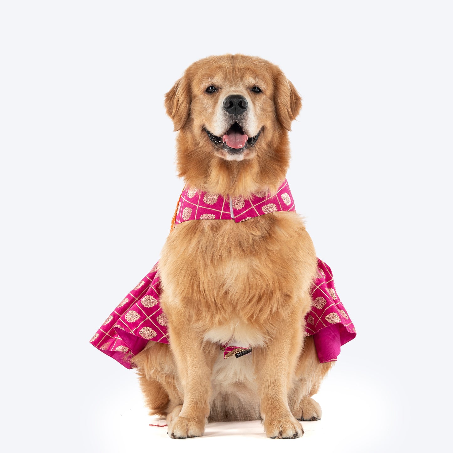 HUFT Customised Desi Diva Doggo Brocade Stitched Saree For Dog & Cat - Pink & Orange
