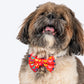 HUFT Heart to Heart Printed Bow Tie for Small Dog - Red - Heads Up For Tails