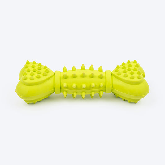 TLC Spiky Heart Bone Squeaky Chew Toy For Dog - Green