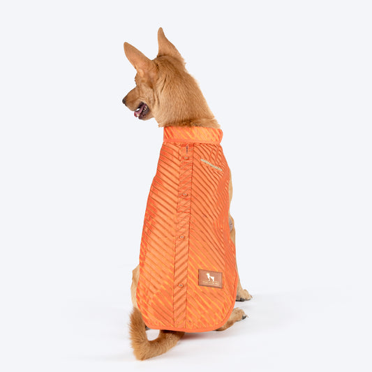 HUFT Royal Elegance Sherwani For Dog - Light Orange