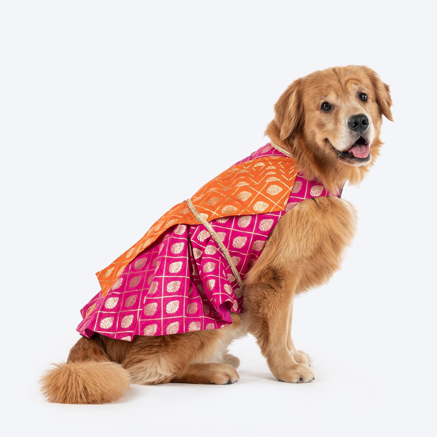 HUFT Customised Desi Diva Doggo Brocade Stitched Saree For Dog & Cat - Pink & Orange