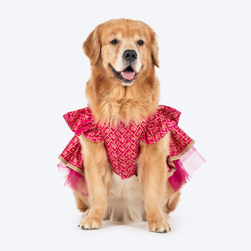 HUFT Customised Petals & Pyaar Brocade Lehenga Dress For Dog - Magenta - Heads Up For Tails