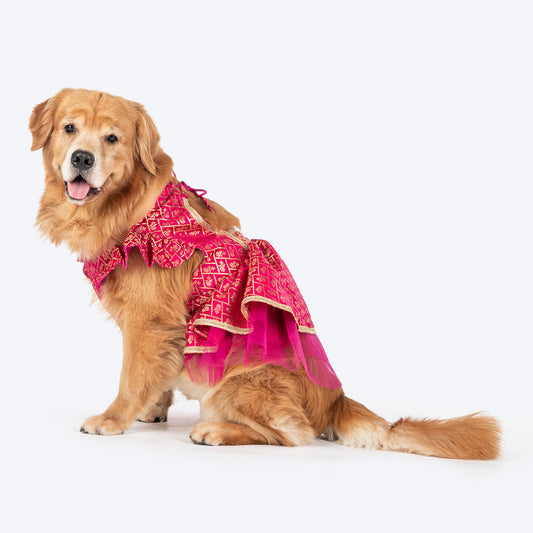 HUFT Customised Petals & Pyaar Brocade Lehenga Dress For Dog - Magenta