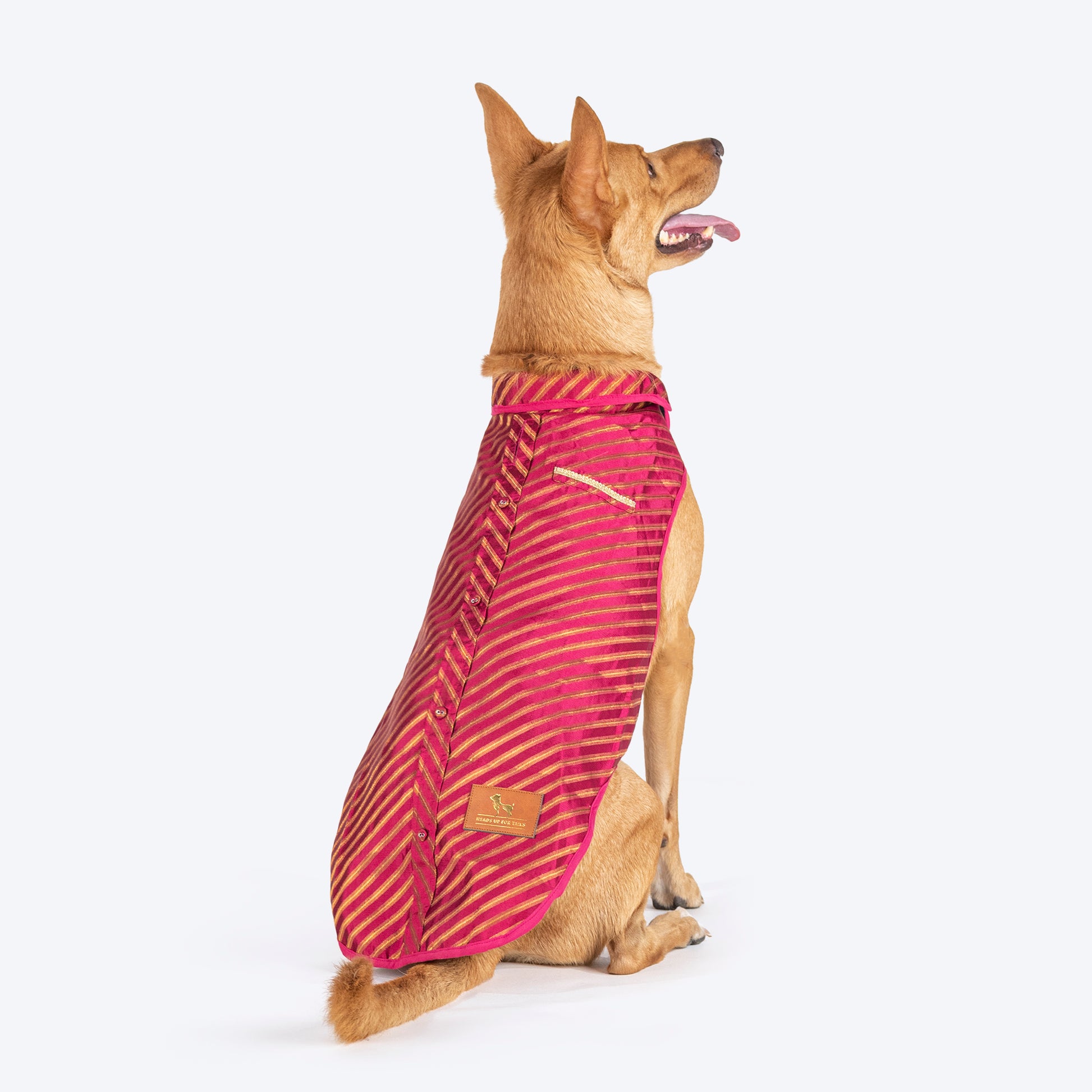 HUFT Royal Elegance Sherwani For Dog - Pink_01