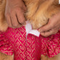 HUFT Customised Petals & Pyaar Brocade Lehenga Dress For Dog - Magenta