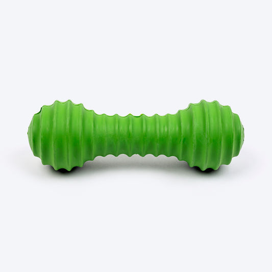 TLC Stripe Textured Dumbbell Squeaky Chew Toy For Dog - Green