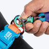 Dash Dog Padded Collar For Dog - Blue & Orange