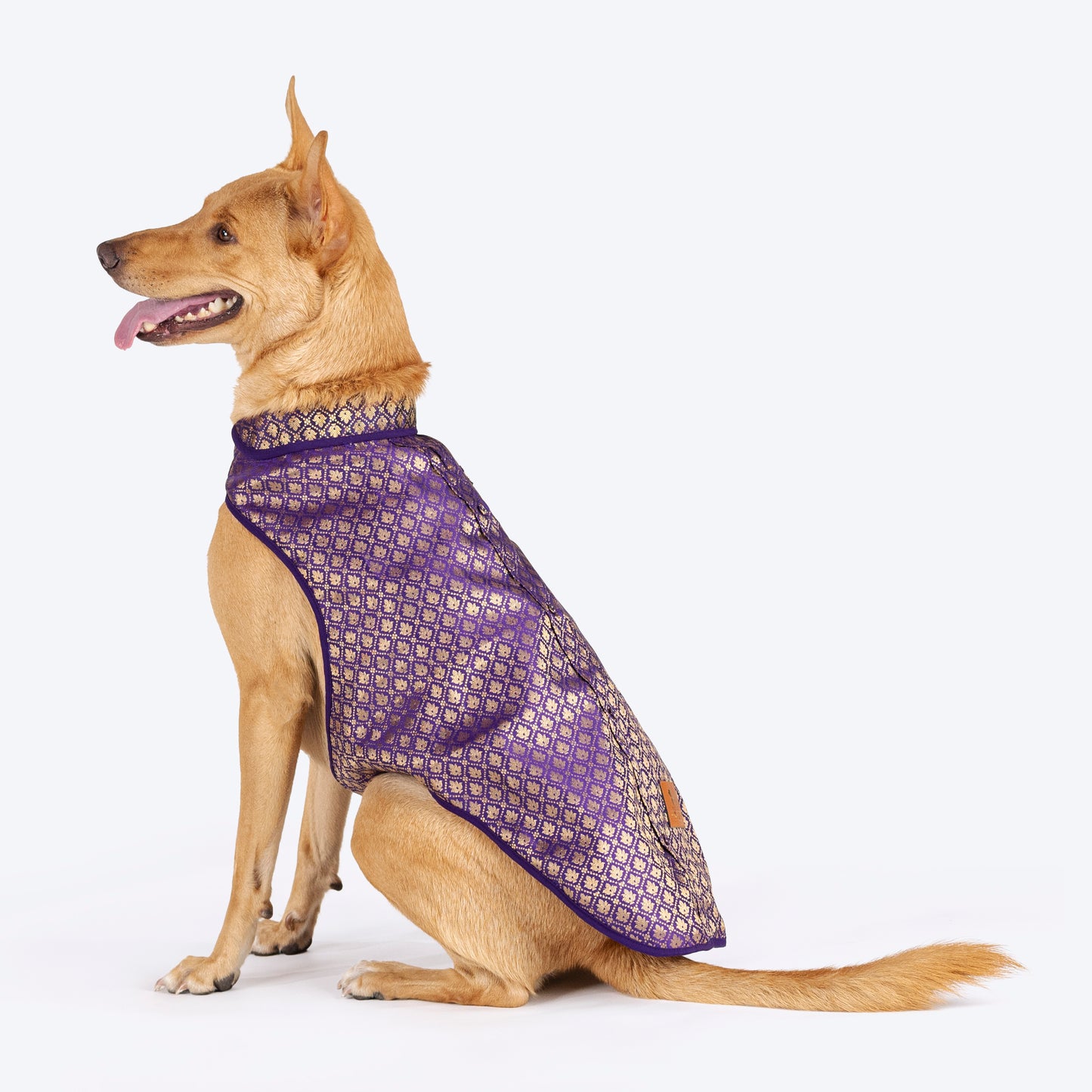 HUFT Royal Elegance Sherwani For Dog - Purple