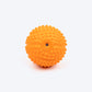 TLC Dotted Textured Ball Squeaky Chew Toy For Dog - Orange