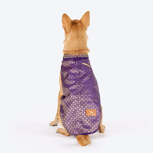 HUFT Royal Elegance Sherwani For Dog - Purple