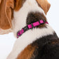 HUFT Classic Puppy Collar - XS - Purple - Heads Up For Tails