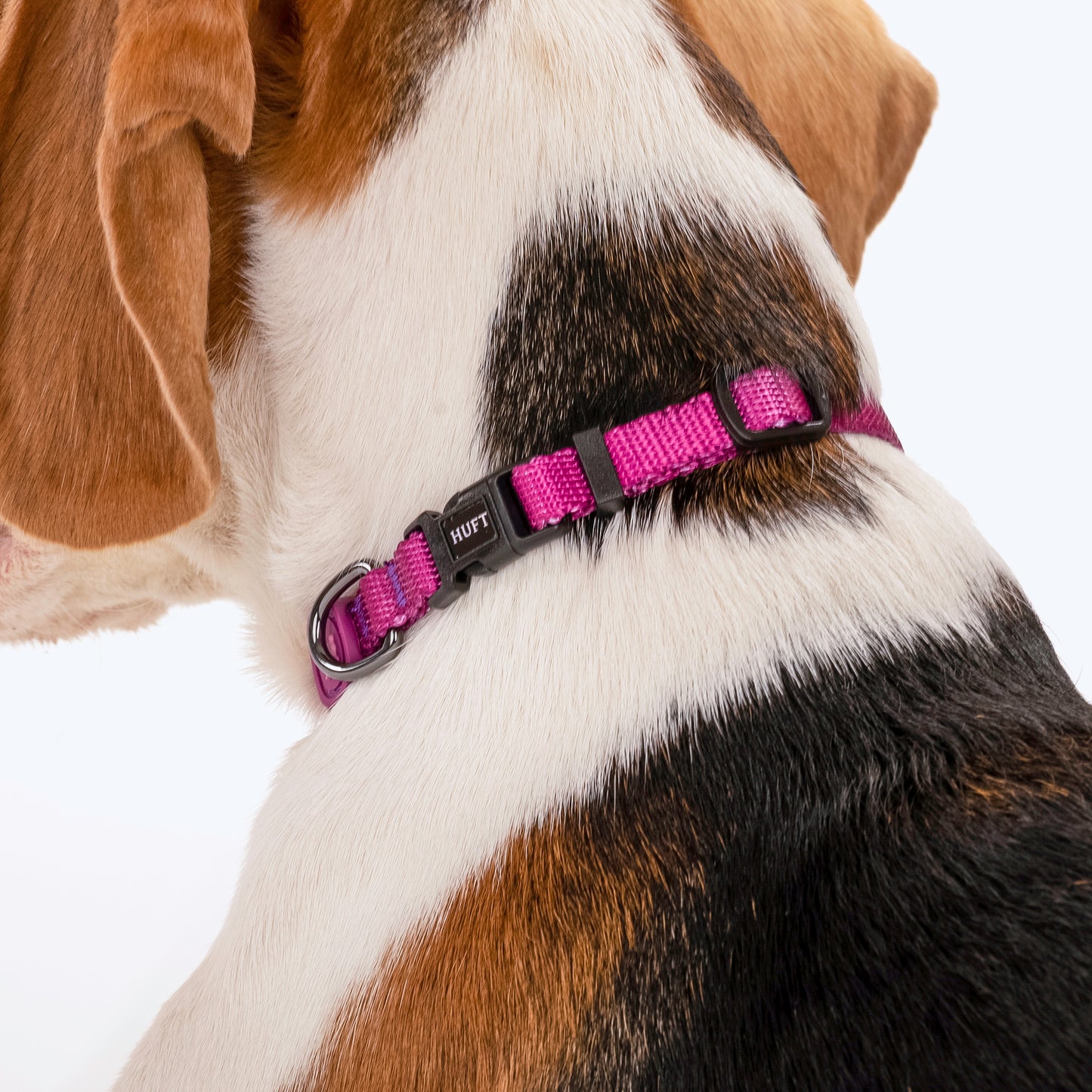 HUFT Classic Puppy Collar - XS - Purple - Heads Up For Tails