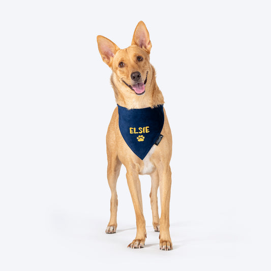 HUFT Personalised Luxe Velvet Bandana For Dog - Navy Blue_02