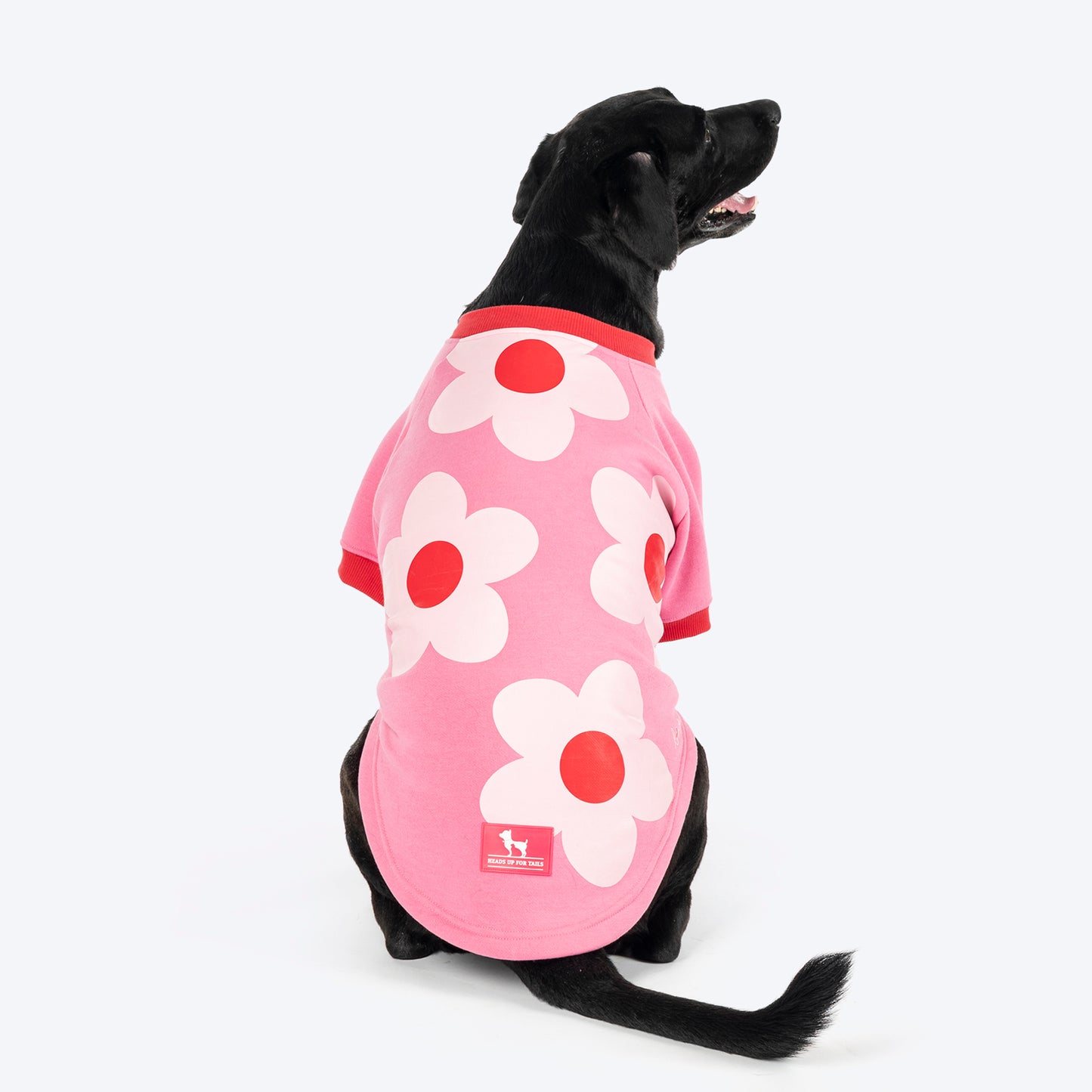 HUFT Flower Power Sweatshirt For Dog - Pink