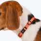 HUFT Classic Puppy Collar - XS - Orange - Heads Up For Tails