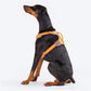 HUFT Active Pet Dog Harness - Orange_08