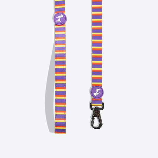 HUFT Sunny Stride Printed Dog Leash - Heads Up For Tails