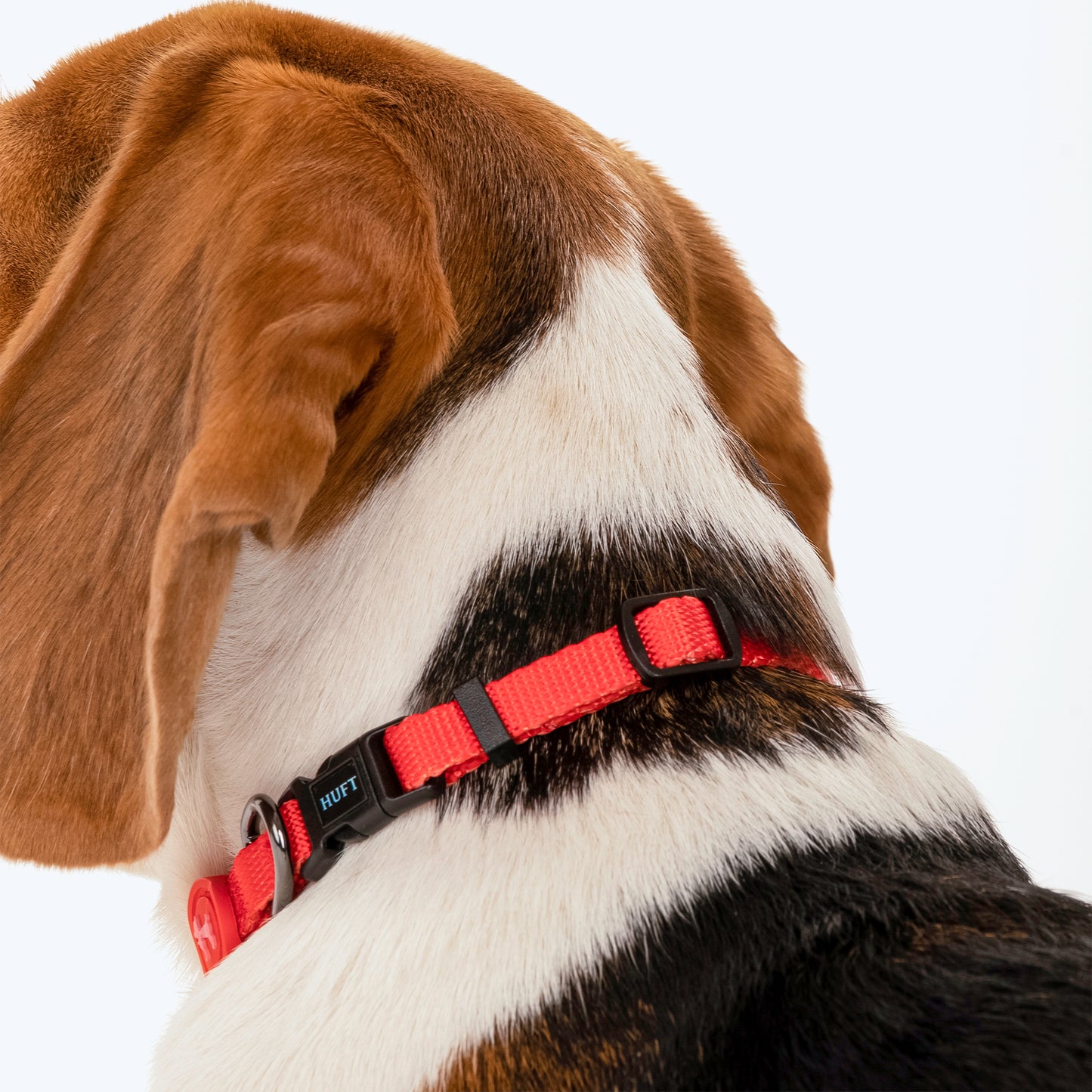 HUFT Classic Puppy Collar - XS - Red - Heads Up For Tails