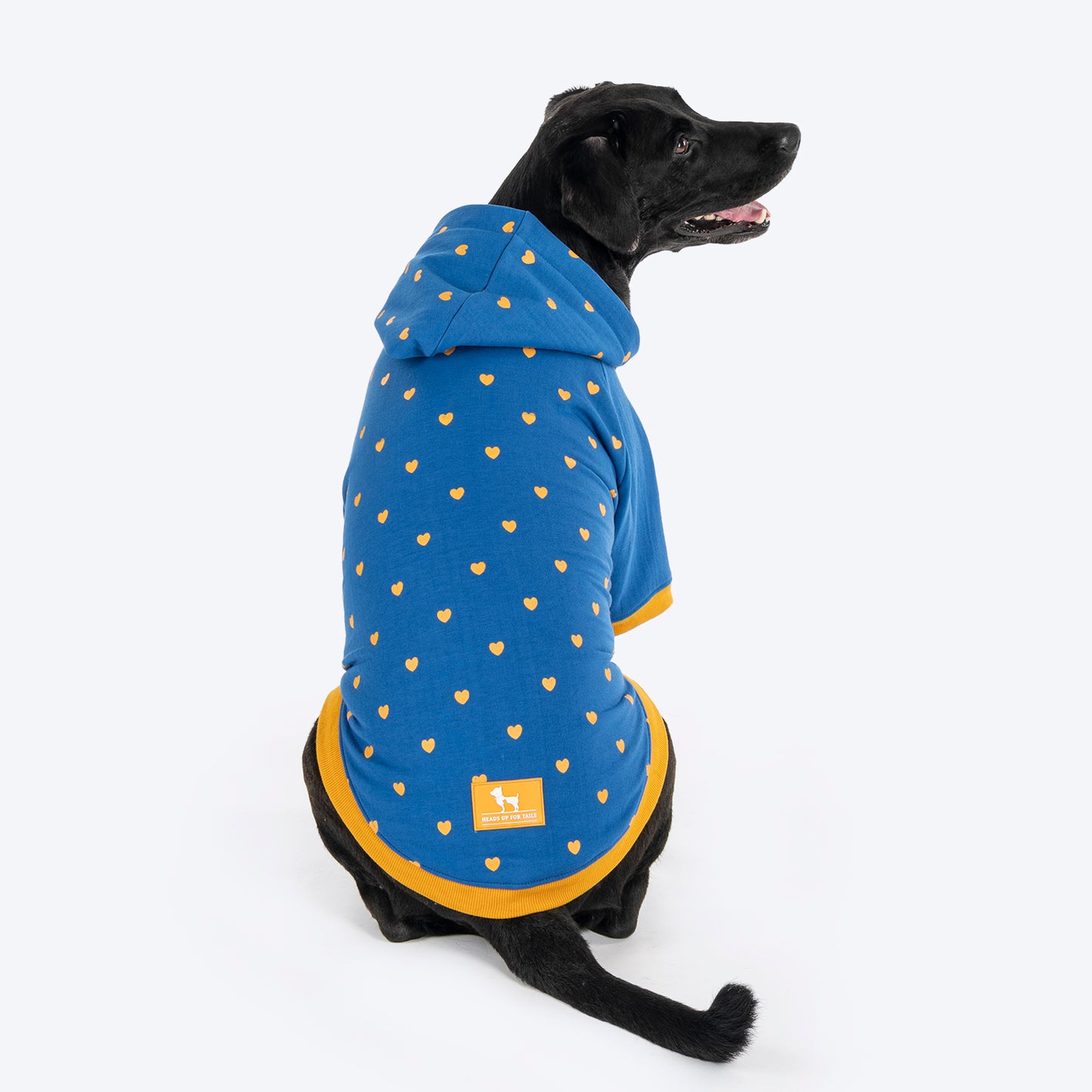 HUFT Honey Hearts Sweatshirt With Hood For Dog - Blue