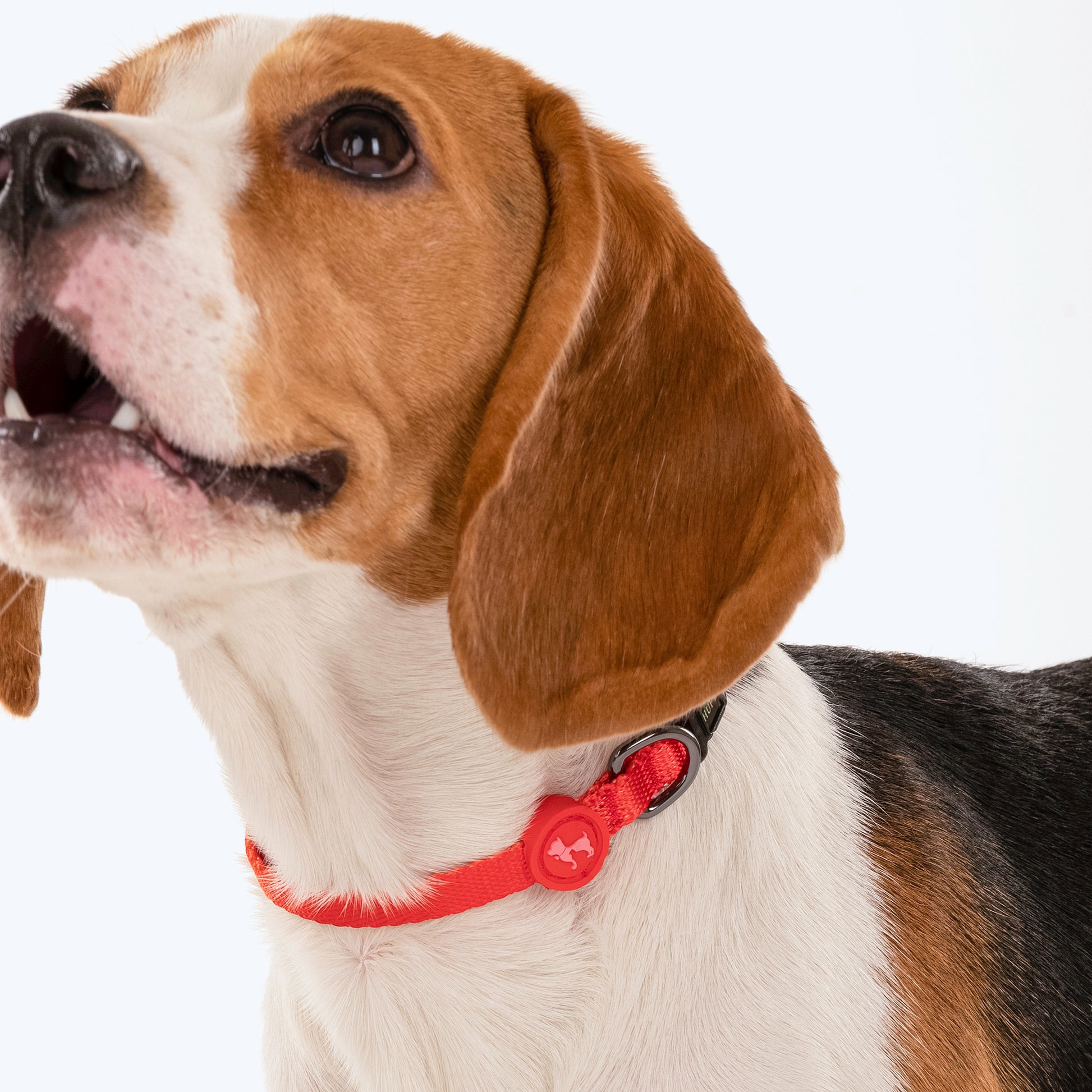 HUFT Classic Puppy Collar - XS - Red - Heads Up For Tails