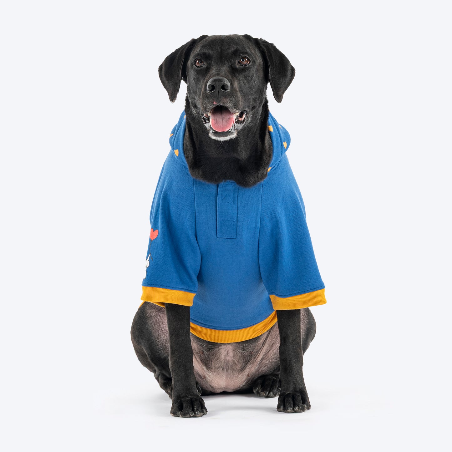HUFT Honey Hearts Sweatshirt With Hood For Dog - Blue