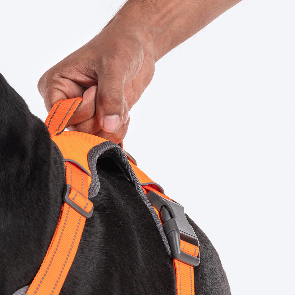 HUFT Active Pet Dog Harness - Orange_11