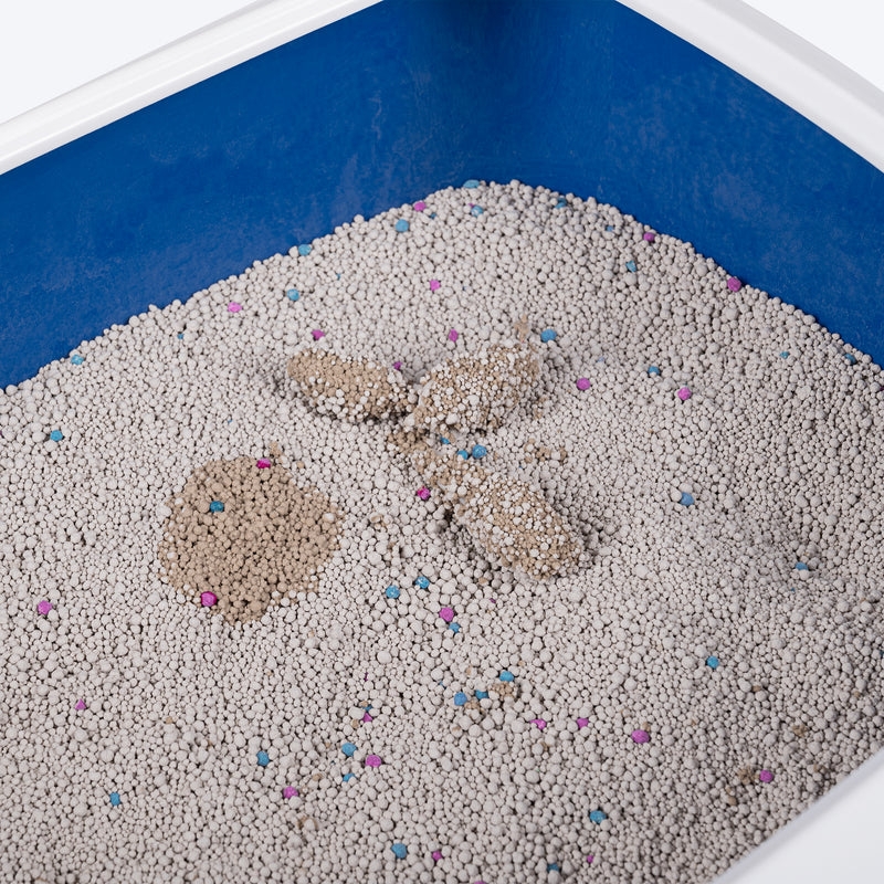 HUFT Natural & Clumping Cat Litter - Lavender - 5 kg_07