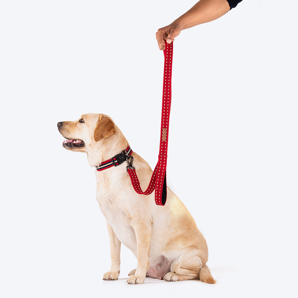 HUFT Trot Along Dog Leash - Maroon - Heads Up For Tails