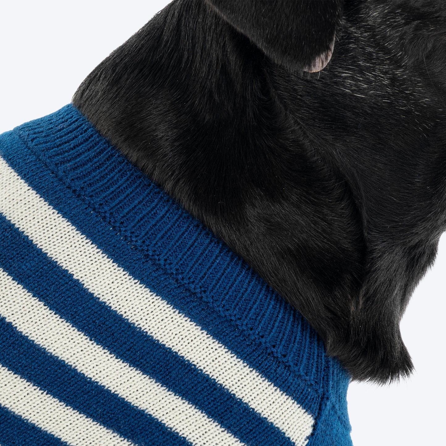 HUFT Polar Bear Striped Sweater For Dog - Multicolor