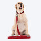 HUFT Trot Along Dog Leash - Maroon - Heads Up For Tails