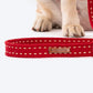 HUFT Trot Along Dog Leash - Maroon - Heads Up For Tails