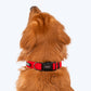 HUFT Basics Dog Collar - Crimson Red - Heads Up For Tails