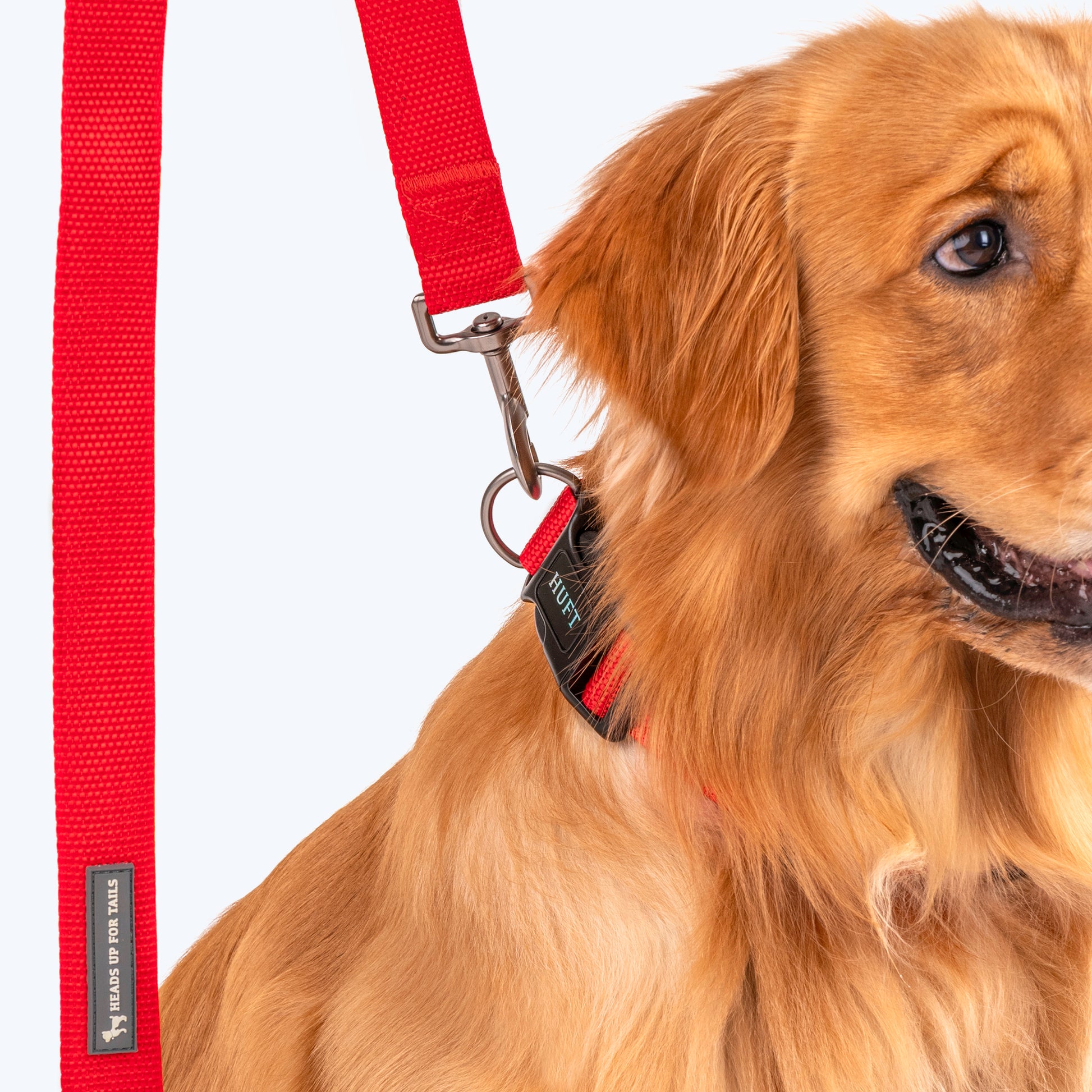HUFT Basics Dog Leash - Crimson Red - Heads Up For Tails