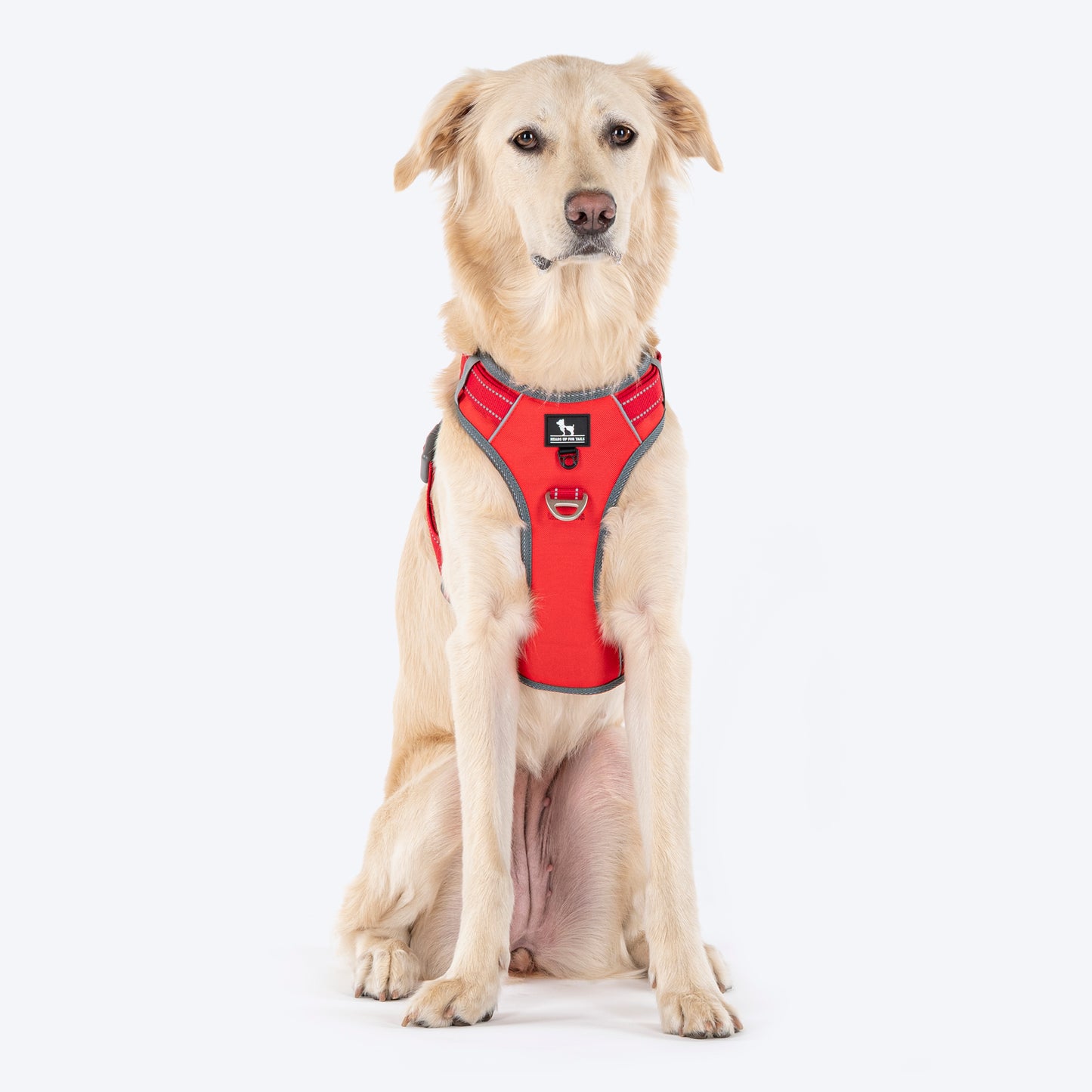HUFT Active Pet Dog Harness - Red_08
