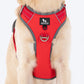 HUFT Active Pet Dog Harness - Red_11