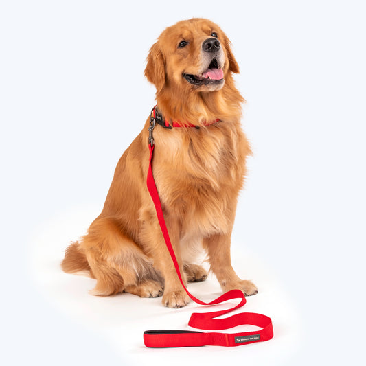 HUFT Basics Dog Collar & Leash Set - Crimson Red - Heads Up For Tails