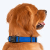 HUFT Basics Dog Collar - Cobalt Blue - Heads Up For Tails