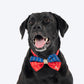 HUFT Royal Rang Bow Tie For Dog - Red & Blue - Heads Up For Tails