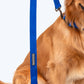 HUFT Basics Dog Leash - Cobalt Blue - Heads Up For Tails