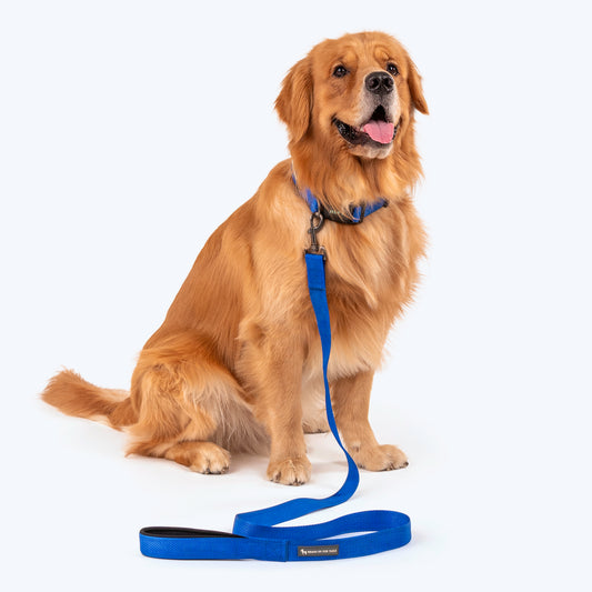 HUFT Basics Dog Collar & Leash Set - Cobalt Blue - Heads Up For Tails