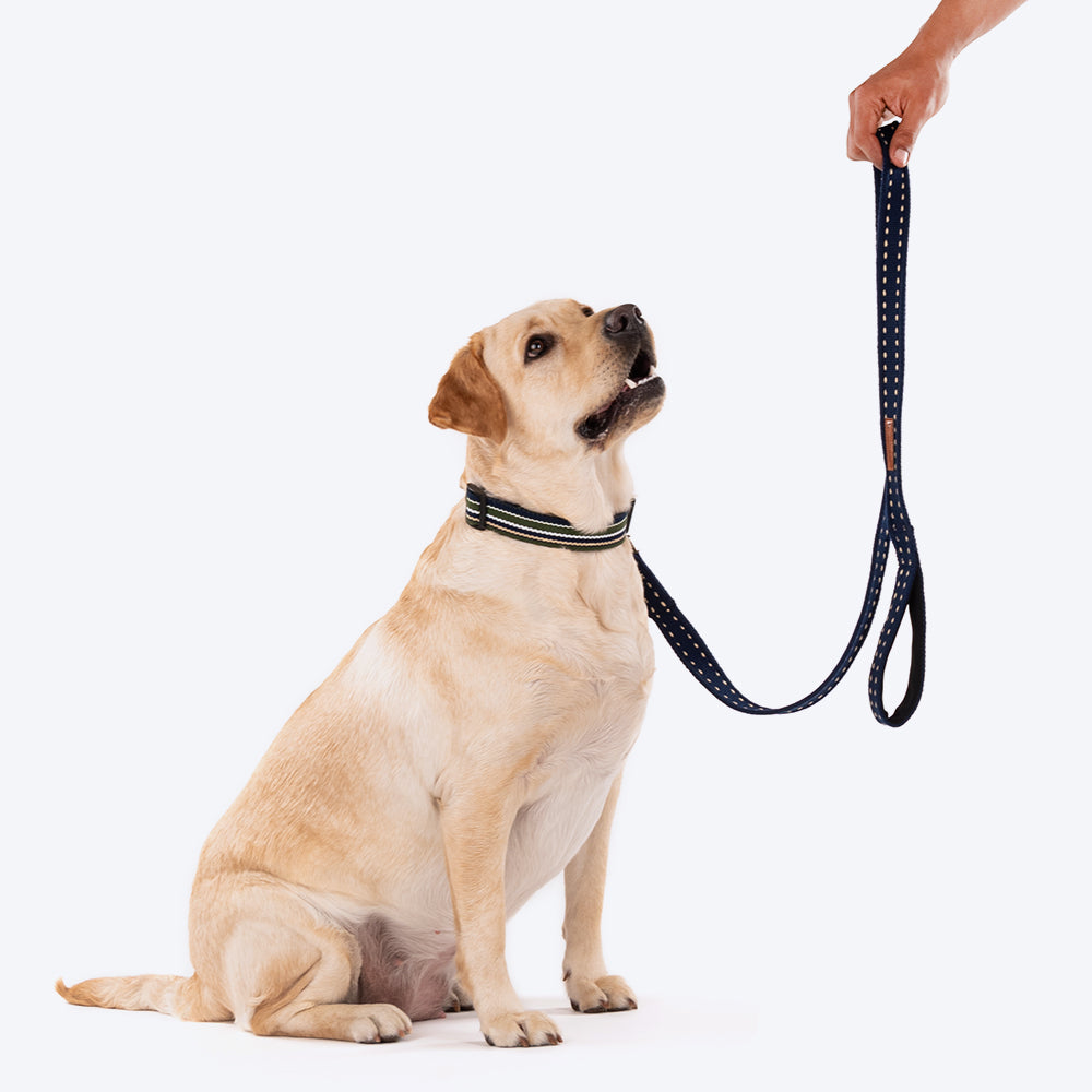 HUFT Trot Along Dog Leash - Navy - Heads Up For Tails