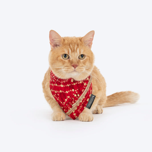 HUFT Super Sitara Scarf For Cat & Puppy - Red