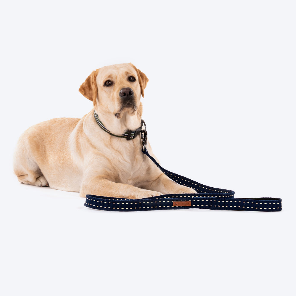 HUFT Trot Along Dog Leash - Navy - Heads Up For Tails