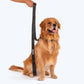 HUFT Basics Dog Leash - Classic Black - Heads Up For Tails