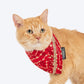 HUFT Super Sitara Scarf For Cat & Puppy - Red - Heads Up For Tails