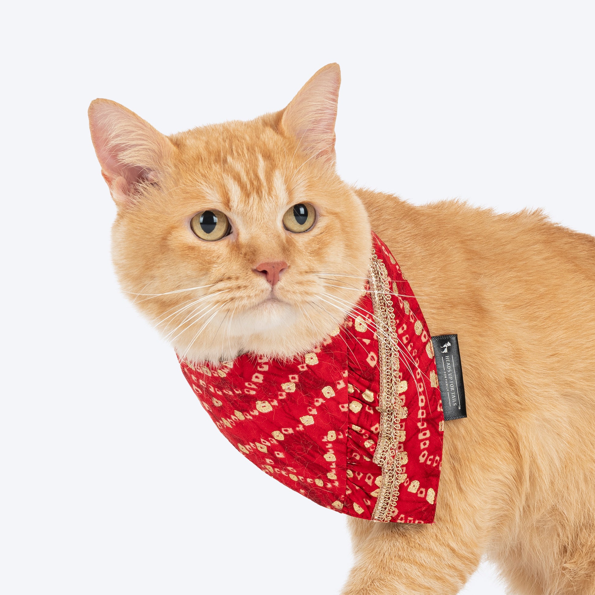 HUFT Super Sitara Scarf For Cat & Puppy - Red - Heads Up For Tails
